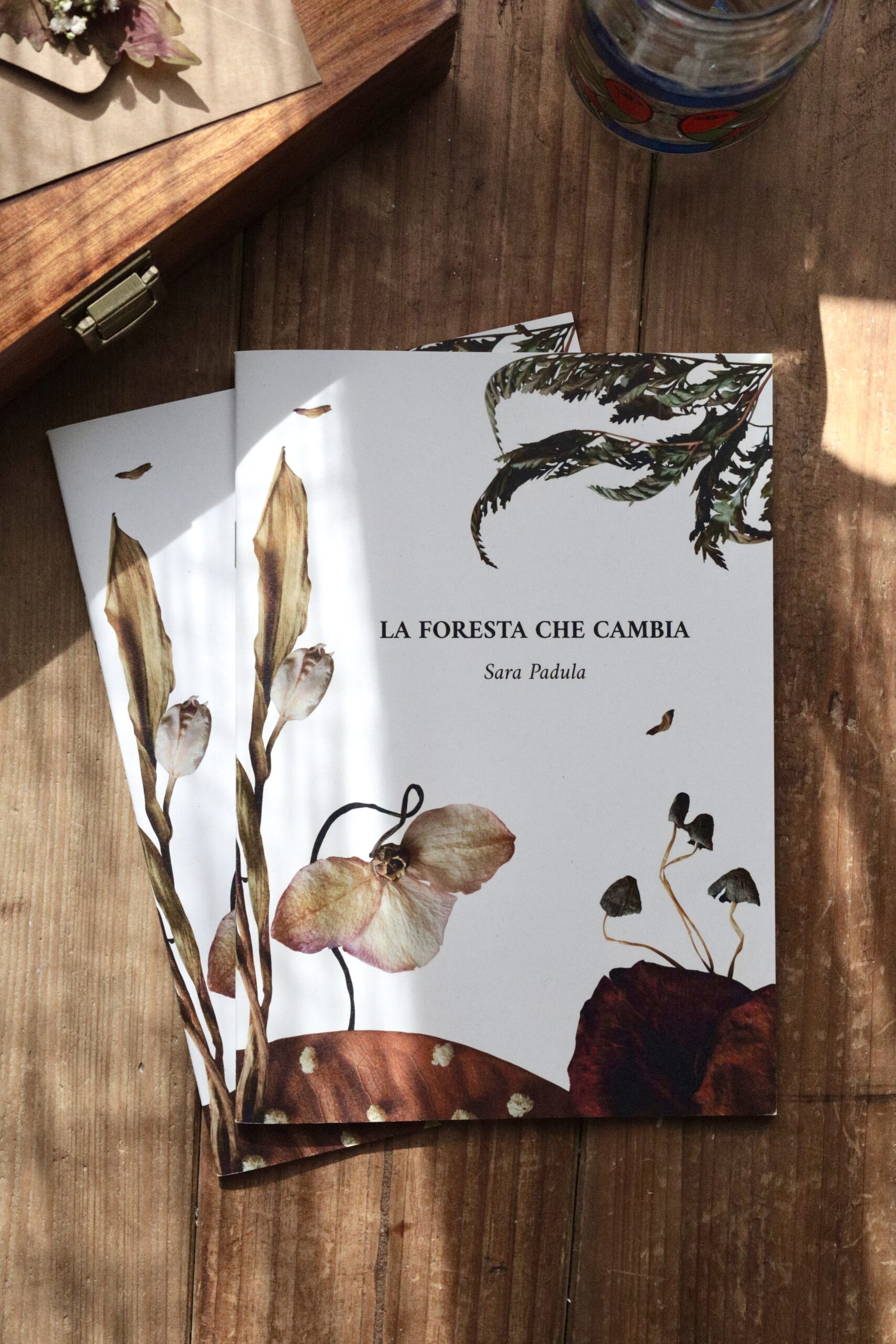 Libro illustrato “La foresta che cambia” 15€